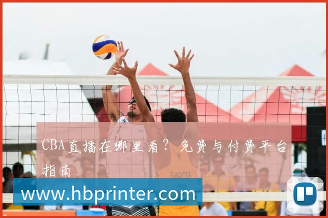 CBA直播在哪里看？免费与付费平台指南