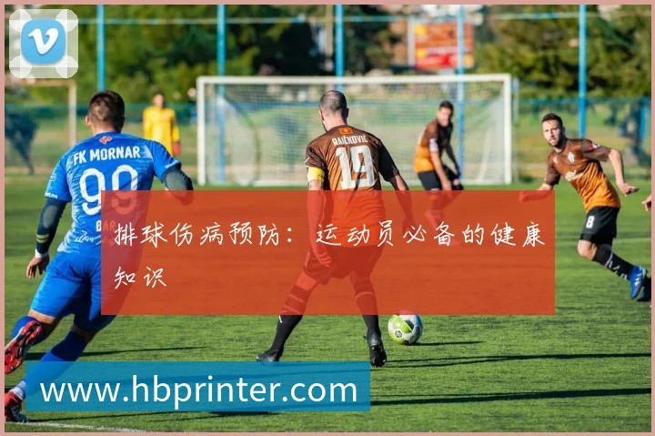 排球伤病预防：运动员必备的健康知识